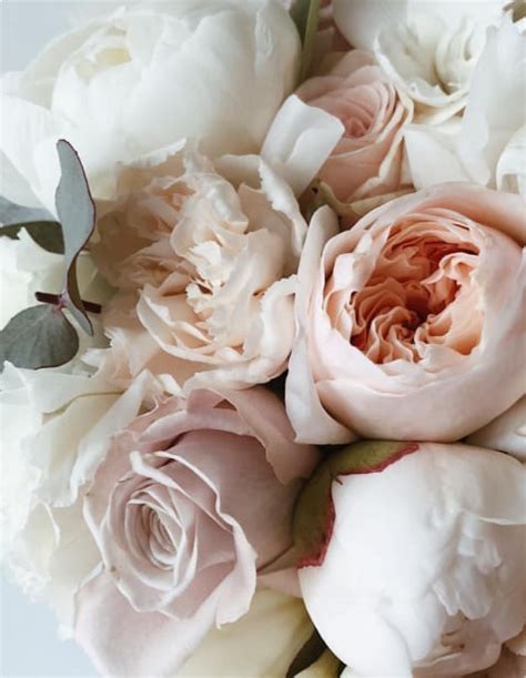 LUZI — fragrance