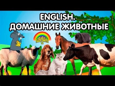 Английский для детей. Домашние животные. English for children. Farm ...