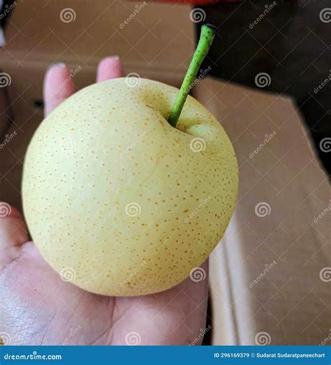 Pear, Fruit, Yellow, White Flesh, Sweet, Crisp Stock Image - Image of