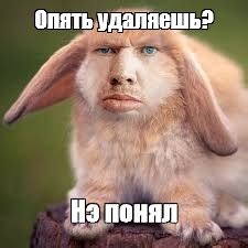 кролик вислоухий - Создать мем - Meme-arsenal.com
