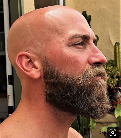 beards   world  instagram  pinterest    bald