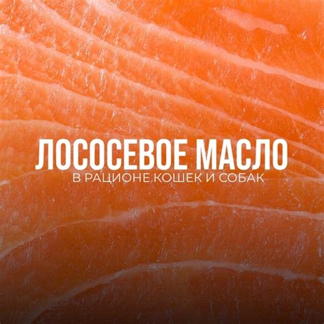 Лососевое масло является ценным источником омега-3 жирных кислот, таких ...