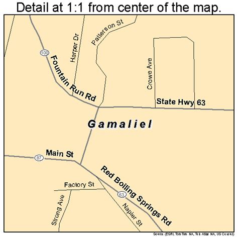 Gamaliel Kentucky Street Map 2129872