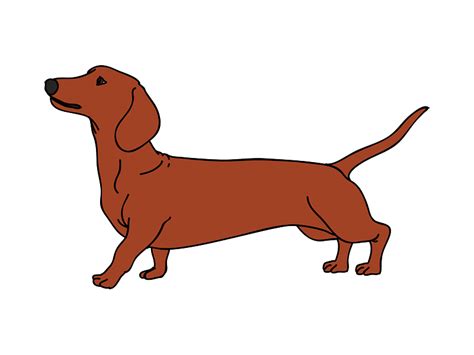 Такса PNG