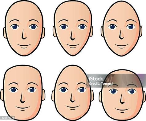 bentuk wajah ilustrasi stok  gambar  wajah elips