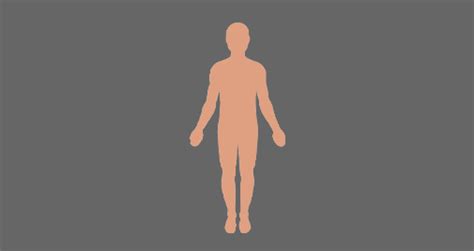 Physical Body - Energy Reality