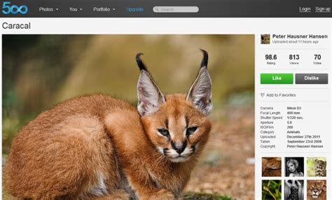 set    camera digital trends