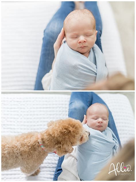 Planning a Picture Perfect At-Home Newborn Session - Allie.Photo
