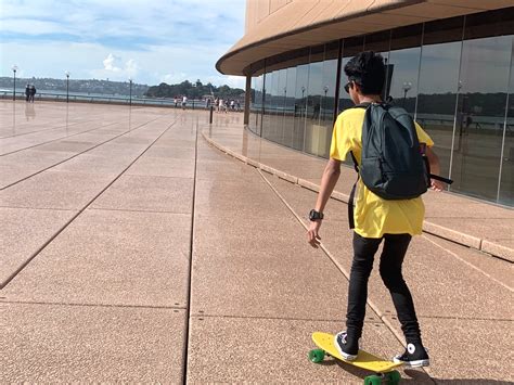 Penny Board vs. Skateboard [Comprehensive Guide]
