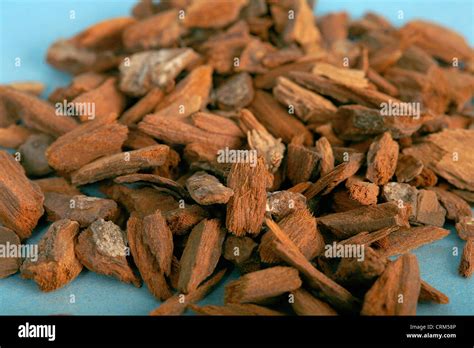 Cinchona bark includes alkaloids which are closely related to quinine ...