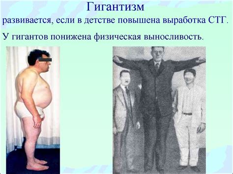 Биохимия гормонов - презентация онлайн