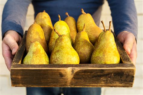 Pears