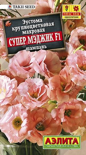 Эустома Супер Мэджик шампань