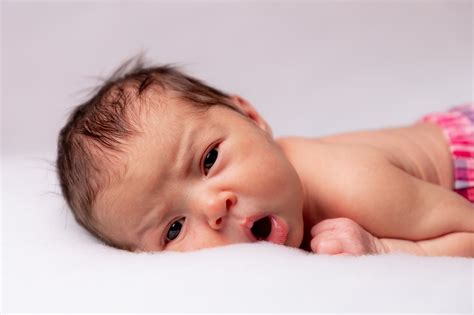 International Surrogacy Center - Stork Service