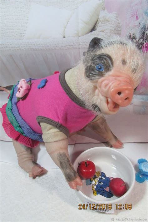 a small pig in a pink shirt and some toys