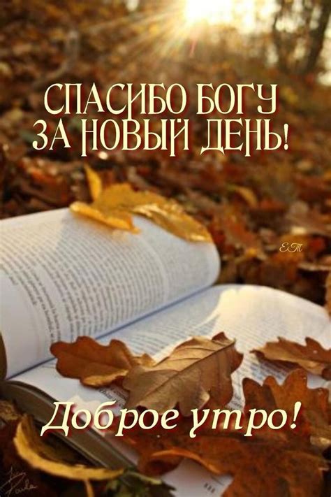 Свершилось | Пожелания для открыток, Утренние цитаты, Цитаты для мотивации