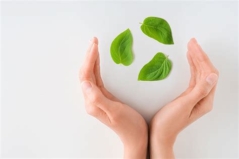 Low Volatile Organic Compound Products | Reacciones Quimicas 