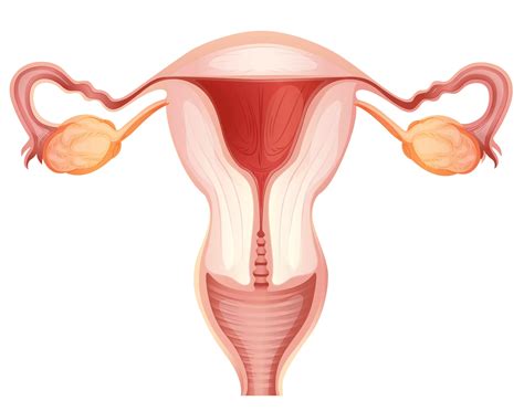 Robotic Hysteroscopy Surgery in Jaipur | CK Birla Hospital