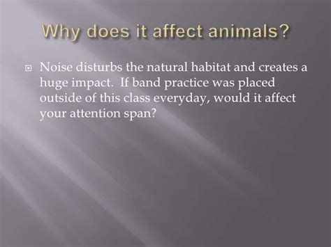 Effects Of Noise Pollution On Aquatic Animals 