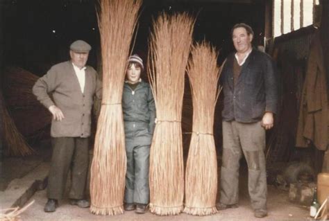 Planting willow cuttings | Musgrove Willows in Somerset