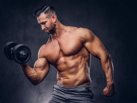 bodybuilding meal plans fuel  gains   pro