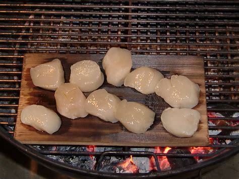 Ein Fisch! Ein Fisch! Ein Fisch! | Grillforum und BBQ - www ...