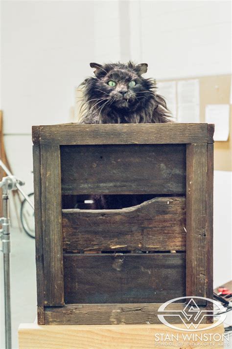 Catzilla vs. The Mouse: Behind the Scenes of Creating the Animatronic