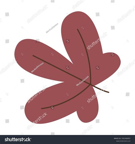 leaver   royalty  licensable stock vectors vector art