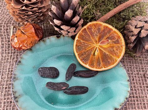 Spices Tonka Bean - Free photo on Pixabay - Pixabay