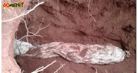 menitcoid barometer jawa barat