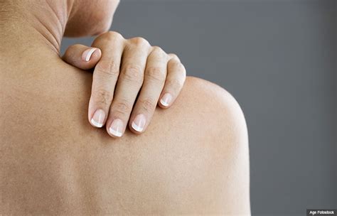 shoulder anatomy  thorpes physiotherapy
