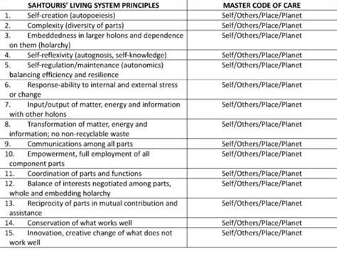 master code  care arises  living systems principles integral city