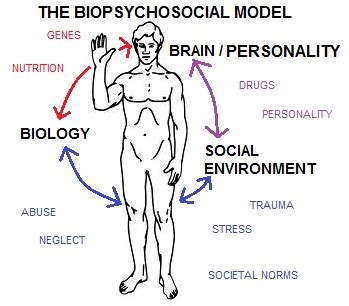 Three Personality Clusters - Obsessive Compulsive PD