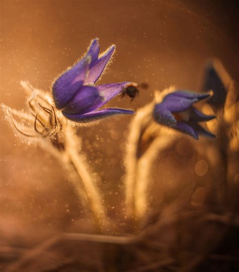 Vladlena Lapshina photographer | Фотографии Владлены Лапшиной ...