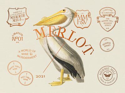Monarch Nova designs, themes, templates and downloadable graphic ...