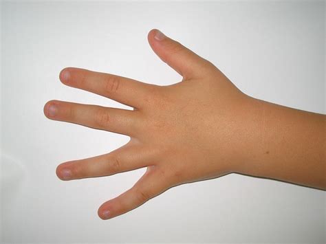 left hand hand images pixabay