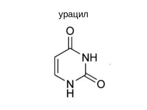Презентация на тему "ДНК" - скачать бесплатно презентации по Биологии