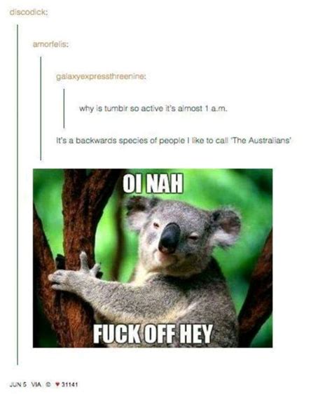 on Aussie things | Australia funny, Funny memes, Funny aussie