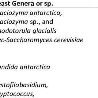 Examples of Psychrophilic Enzymes and Proteins from Cold Adapted Yeasts ...