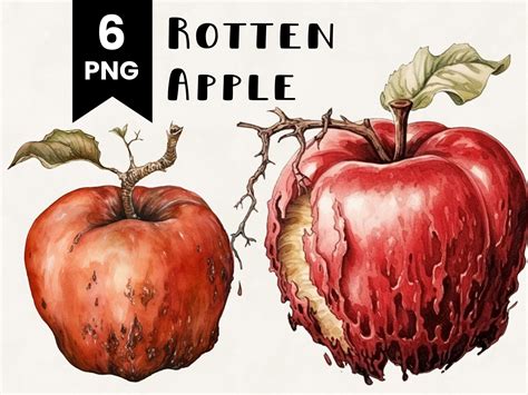 Rotten Apple Clipart Watercolor Illustration Commercial Use - Etsy