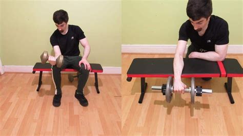Forearm Dumbbell Exercises and Free Weight Workouts