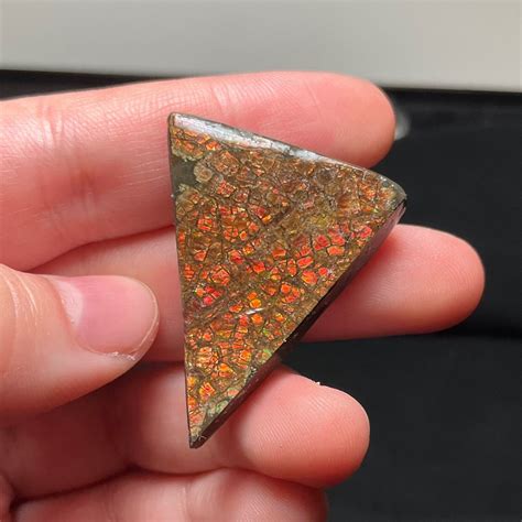 DRAGON SCALE Ammolite Stone Natural Stone Specimen RARE Collector Item
