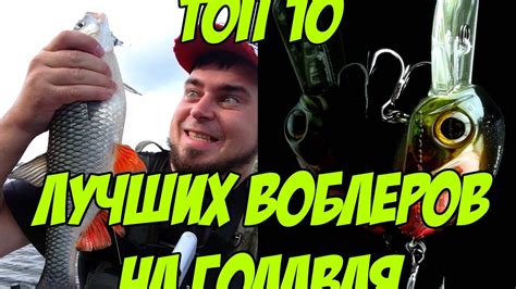 Лучшие воблеры на голавля. Топ 10 лучших воблеров - YouTube
