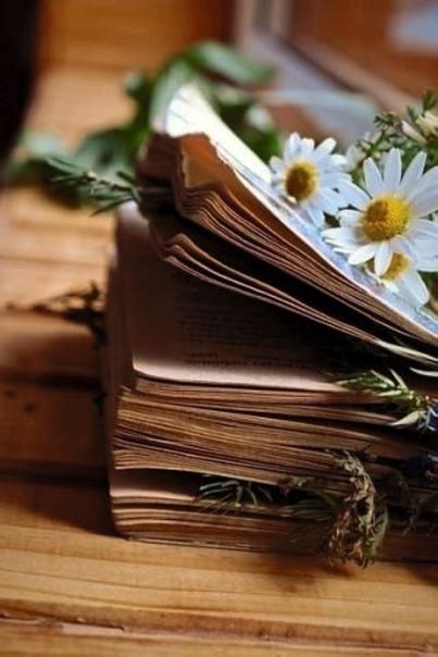 Самые красивые картинки | ВКонтакте