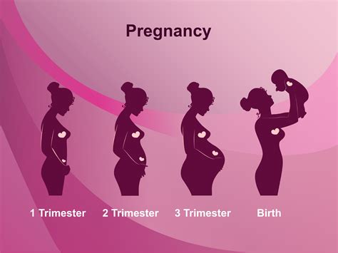 Pregnancy - Maitland, Oviedo, Lake Mary and Winter Park, FL: Premier ...