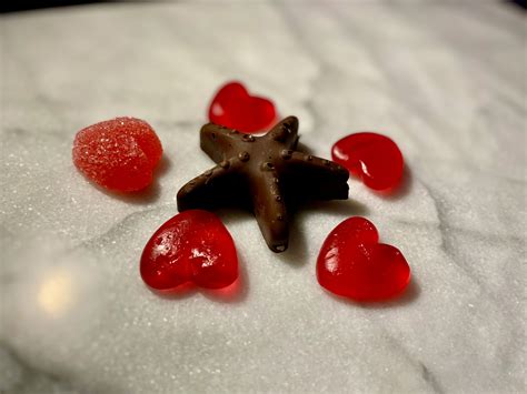 CHOCOLATE BELGIAN FRENCH SWEDISH – Nantasket Sweets By Swedes
