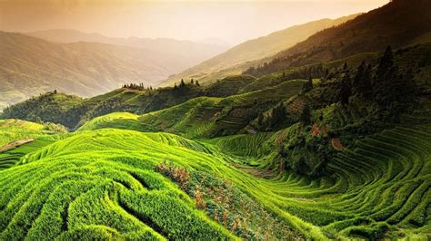 Картинки по запросу рисовые поля в китае | Landscape, Nature pictures ...