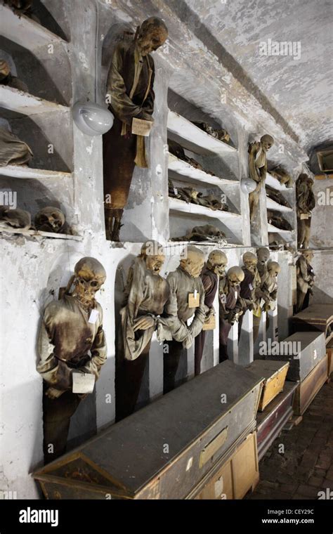 Capuchin catacombs of Palermo, Sicily, Italy Stock Photo - Alamy