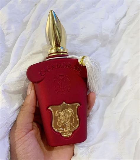Xerjoff Italica | Niche perfume, Perfume, Fragrance