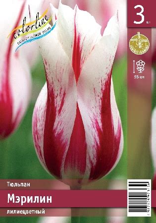 Серия Промолайн | Купить оптом луковицы тюльпанов, нарциссов, гиацинтов ...